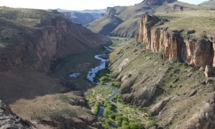 Patagonia Gold espera resolución de amparo judicial para catear cerca de Cueva de las Manos
