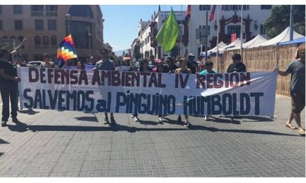 Marcharon en La Serena en contra del proyecto minero Dominga