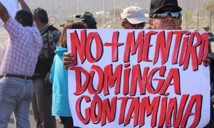 Famosos llaman a «hacer presión» para evitar construcción de Minera Dominga