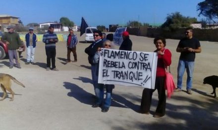 Pobladores de Flamenco denuncian a minera por destrucción del ecosistema en caleta de Atacama