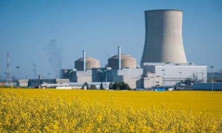 Francia cerrará hasta 17 de sus 58 reactores nucleares en ocho años