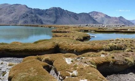 Confirman que minera chilena Pelambres contaminó suelo y aguas de San Juan
