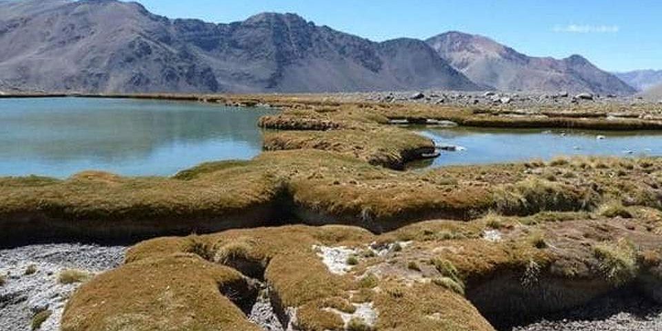 Confirman que minera chilena Pelambres contaminó suelo y aguas de San Juan