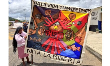 22 de julio: Día mundial de acción contra la minería a cielo abierto