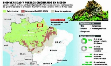 Brasil permite explotación minera en vasta reserva de la Amazonia