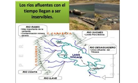 Campaña para salvar al lago Titicaca de la contaminación de minería 