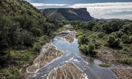 A tres años del derrame minero en el río Sonora ¿Es un caso cerrado?