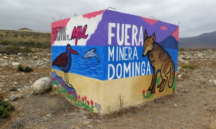 Científicos alertan a autoridades para que rechacen proyecto minero Dominga