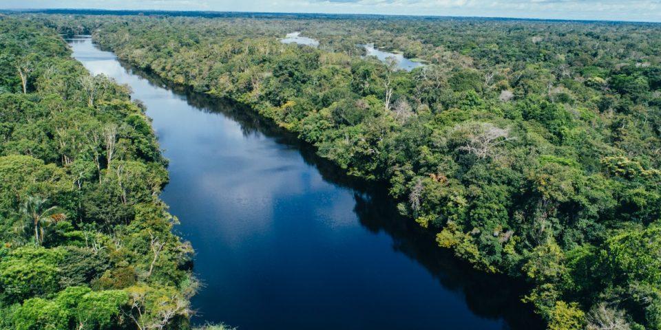 La nueva amenaza para el Amazonas: la minería