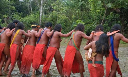 Una tribu brasileña desafía a los mineros: “nuestra vida depende de la vida de la tierra y de la selva”