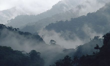 Campesinos de Chiapas rechazan minería en reserva de la biosfera