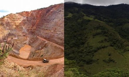 Las mineras amenazan bosques y selvas de México: hay 895 proyectos, 44% sobre vegetación