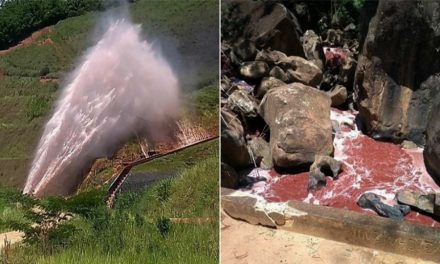Rotura en mineroducto contamina manantiales que abastecen poblados de Mina Gerais