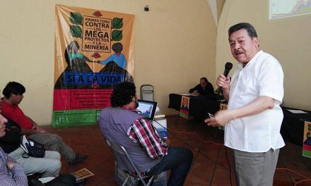 Alertan daños a la salud por proyecto minero de Linear Gold Corp. en Tehuacán