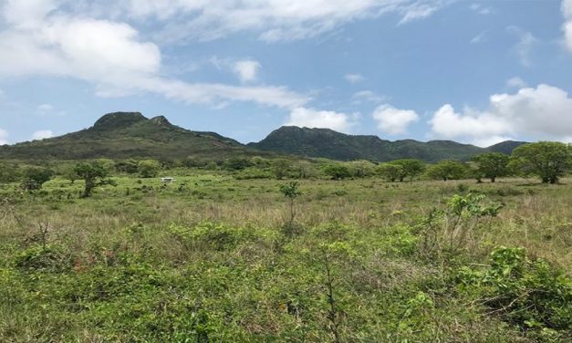 Destruirán 330 hectáreas con proyecto minero La Paila