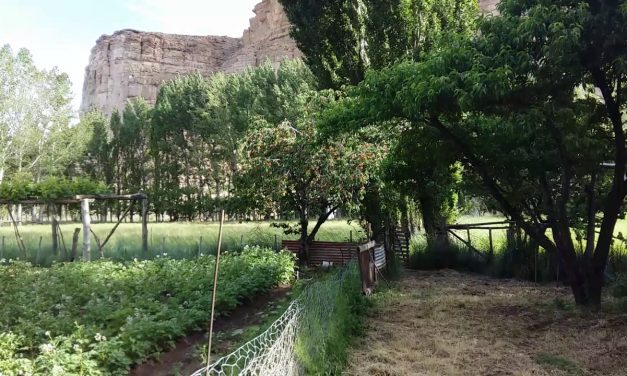 Declaración de productores agroganaderos de Paso del Sapo contra la megaminería