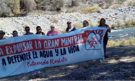 Boletín de la Red Latinoamericana de Mujeres Defensoras de los Derechos Sociales y Ambientales