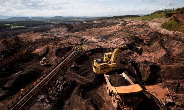 Más de 100 crímenes ambientales en 20 años