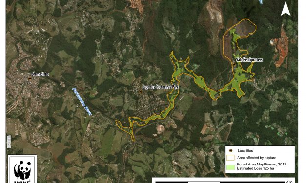 Aspectos ambientales de la tragedia en Brumadinho