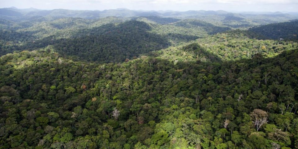El Gobierno francés detiene un megaproyecto de minería en la Amazonía