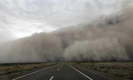 Desertificación de suelos y cabezas