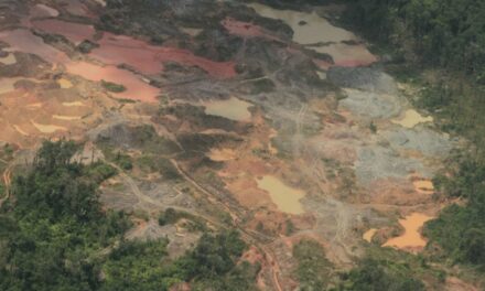 Experto de la ONU pide cesar las actividades de la mina El Cerrejón en Colombia