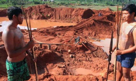 Tribunal brasileño ordena rechazar solicitudes de minería en tierras indígenas