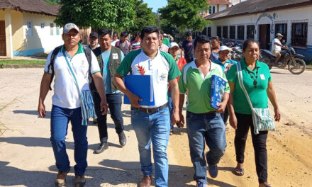 Un juez ordena el cese de la actividad minera en dos ríos de la Amazonía boliviana