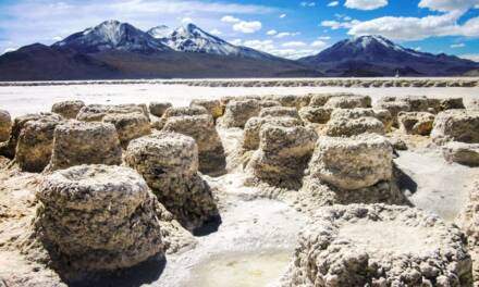 Demanda por daño ambiental en el Salar de Surire