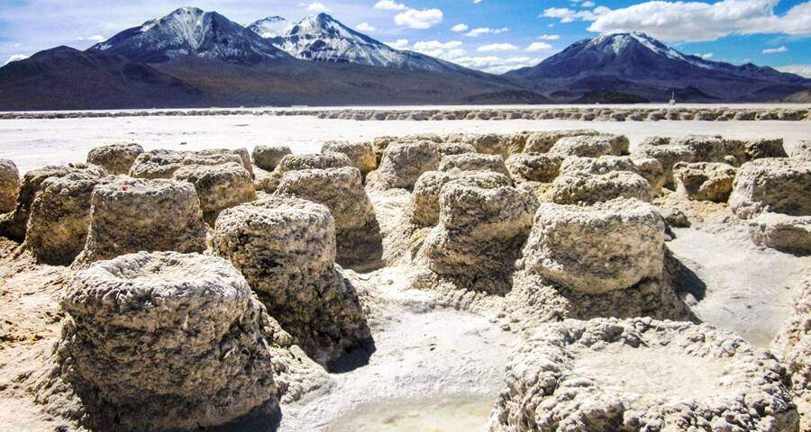 Demanda por daño ambiental en el Salar de Surire