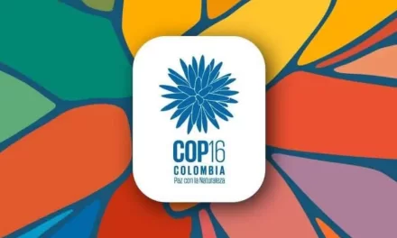 La transición energética es el centro del debate de la COP16