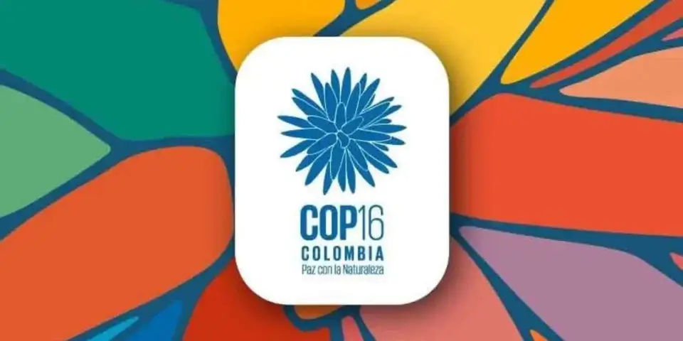 La transición energética es el centro del debate de la COP16