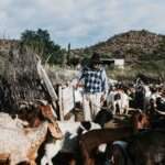 Avance contra campesinos e indígenas: entre el remate de tierras fiscales y proyectos mineros