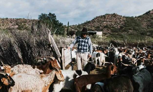 Avance contra campesinos e indígenas: entre el remate de tierras fiscales y proyectos mineros