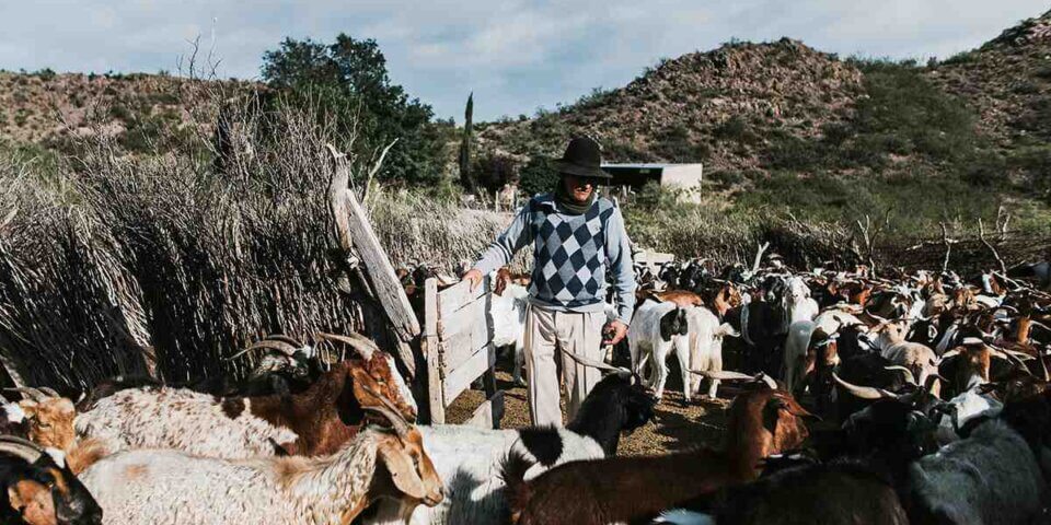 Avance contra campesinos e indígenas: entre el remate de tierras fiscales y proyectos mineros