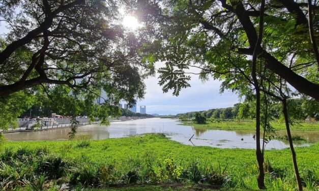 La importancia de las reservas naturales urbanas