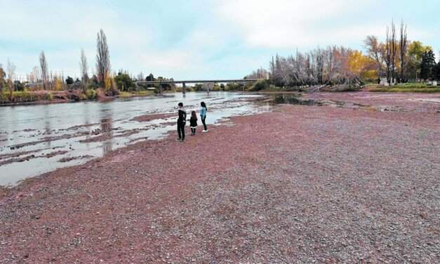 NUESTRO RÍO COLORADO NO ESTÁ BIEN