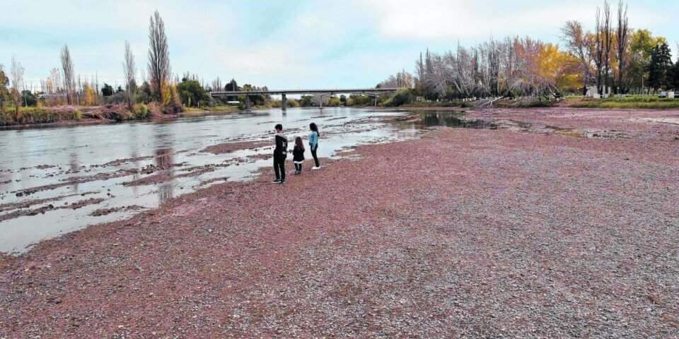 NUESTRO RÍO COLORADO NO ESTÁ BIEN