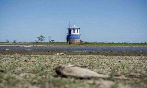 Un río Paraná para todos o una hidrovía para pocos