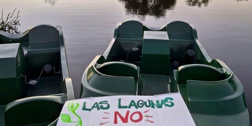 Laguna Francia y un fallo histórico con la naturaleza como sujeto de derecho