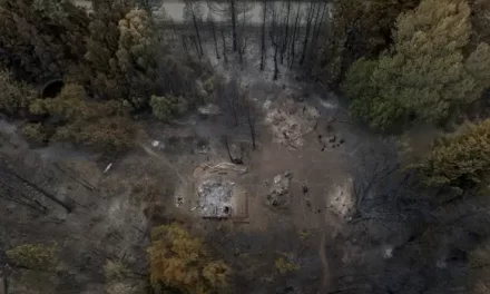 ¿Estamos a salvo? Cuáles son las zonas pobladas más expuestas a incendios